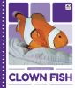 Clown fish