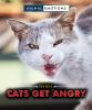 When cats get angry