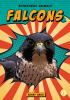 Falcons