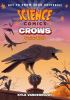 Crows : genius birds