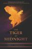 The tiger at midnight