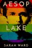 Aesop Lake : a novel