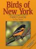 Birds Of New York : field guide