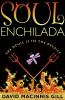 Soul enchilada