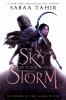 A Sky Beyond The Storm : a novel