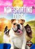 Non-sporting Dogs