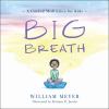 Big Breath : a guided meditation for kids