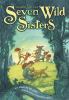 Seven wild sisters : a modern fairy tale