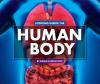 Looking Inside The Human Body