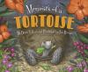 Memoirs Of A Tortoise