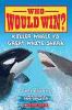 Killer Whale Vs. Great White Shark