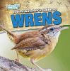 A Bird Watcher's Guide To Wrens