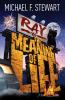 Ray Vs The Meaning Of Life