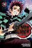 Demon Slayer, Kimetsu No Yaiba. 10, Human and demon /