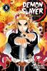 Demon Slayer, Kimetsu No Yaiba. 8, The strength of the hashira /