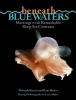 Beneath blue waters : meetings with remarkable deep-sea creatures