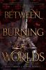 Between Burning Worlds -- System Divine bk 2