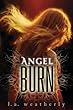 Angel Burn: Book 1 : Angel series