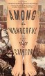 Among the wonderful : a novel