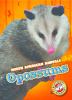 Opossums