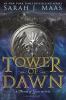 Tower Of Dawn : a throne of glass novel