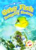 Goby Fish And Snapping Shrimp