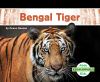 Bengal Tiger