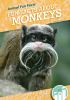 Fun Facts About Monkeys