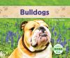 Bulldogs