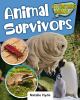 Animal Survivors