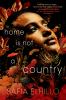 Home is not a country : Novel in Verse