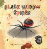 Black Widow Spider