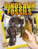 Dinosaur fossils