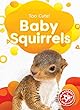 Baby Squirrels