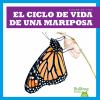 El Ciclo De Vida De Una Mariposa