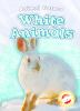 White Animals