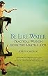 Be Like Water : practical wisdom from the martial arts