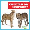 Cheetah Or Leopard?