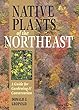 Native plants of the northeast : a guide for gardening & conservation