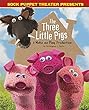 Sock Puppet Theater Presents The Three Little Pigs : a make and play production