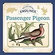 Passenger Pigeon