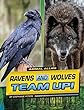 Ravens And Wolves Team Up!