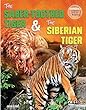 The Saber-toothed Tiger & The Siberian Tiger