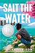 Salt the water : Novel in Verse