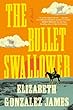 The Bullet Swallower : a novel