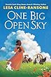 One Big Open Sky