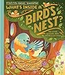 What's Inside A Bird's Nest : and other questions about nature & life cycles