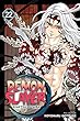 Demon slayer 22 : Kimetsu no yaiba. Volume 22, The wheel of fate /