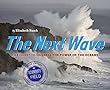 The next wave : the quest to harness the power of the oceans