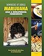 Marijuana : legal & developmental consequences